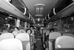 53位沈阳人就这样被甩包了,说好带我们去看海的 呜呜呜