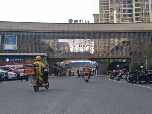 节日奋斗 风景独好旅行社广信营业部开放,一大拔优惠产品上线